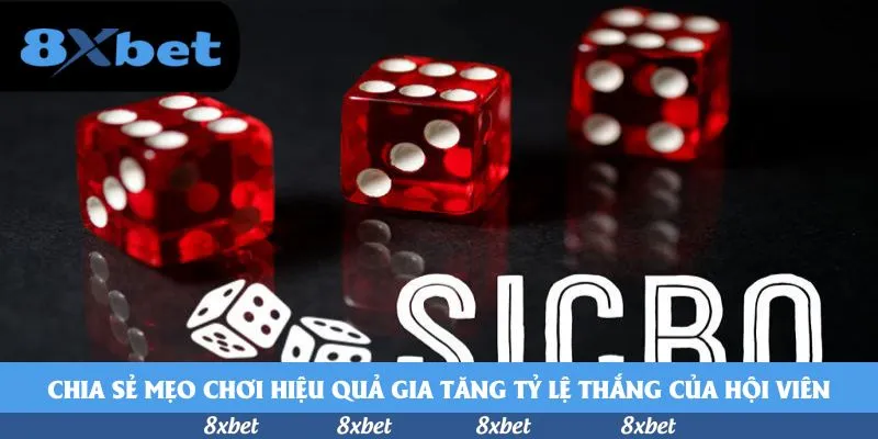8xbet - nhà cái thabet
