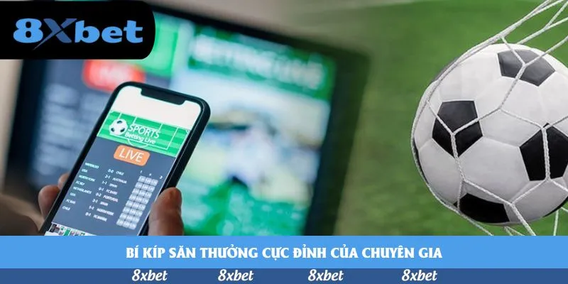 8xbet - link 1xbet mới nhất