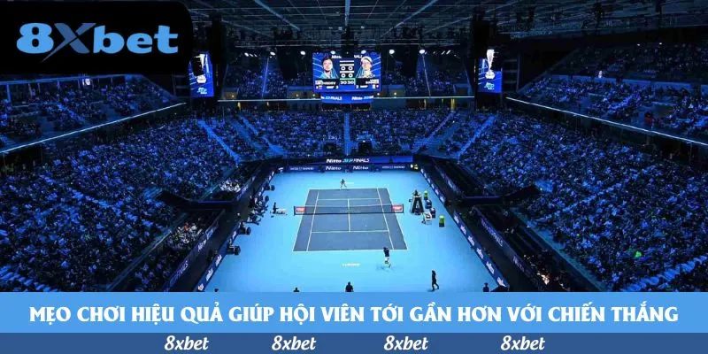 8xbet - top nhà cái cá cược bóng đá tỷ lệ cao