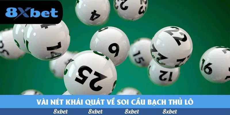 8xbet - fb88 hoàn trả