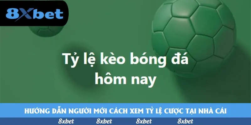 8xbet - rikvip thưởng nạp đầu 100%